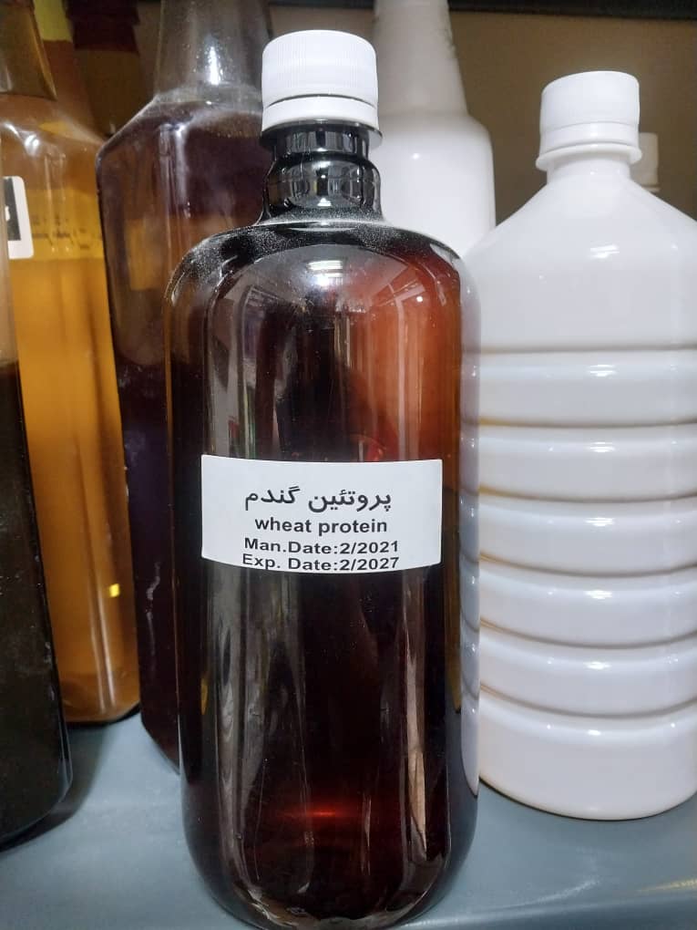 پروتئین گندم